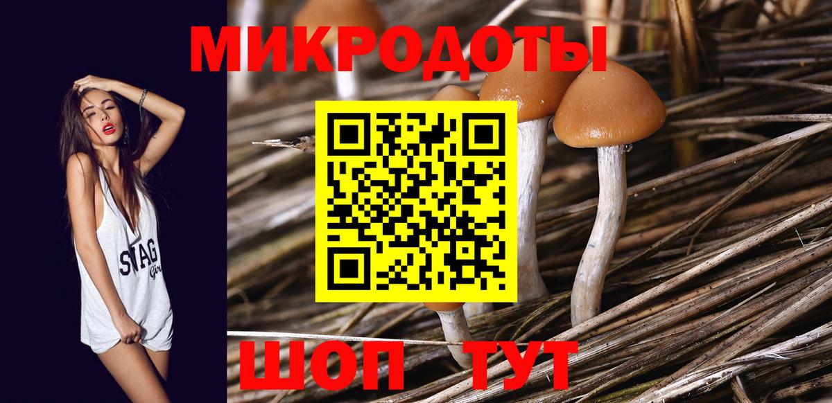 Галлюциногенные грибы MAGIC MUSHROOMS  Вход с VPN  Псилоцибиновые грибы Magic Shrooms  Красногорск 