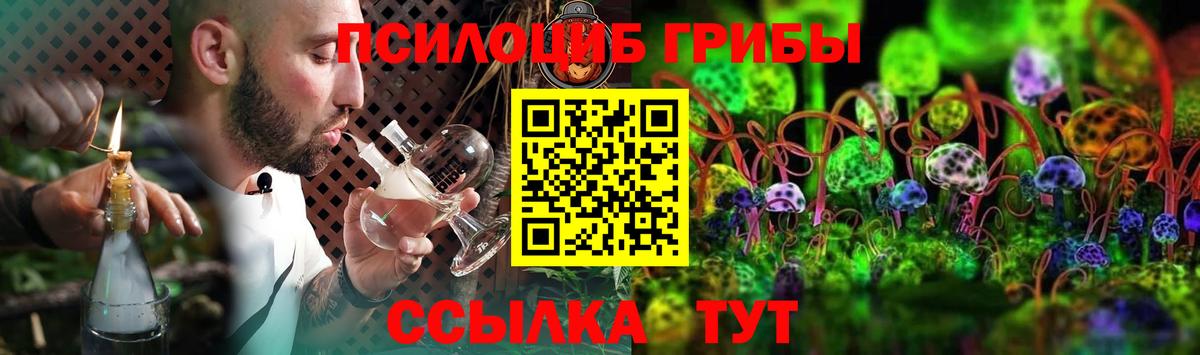 Галлюциногенные грибы Psilocybine cubensis Красногорск